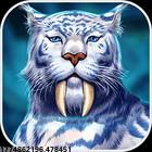 全天候客服支持